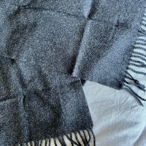 Dolce & Gabbana scarf